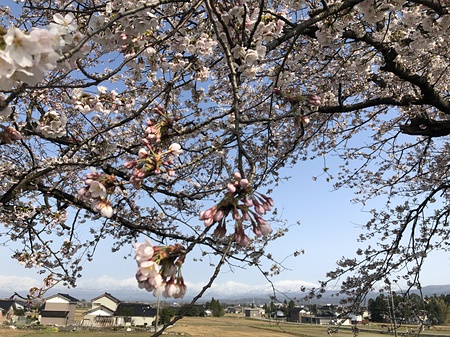 富山市　工務店　注文住宅　土地