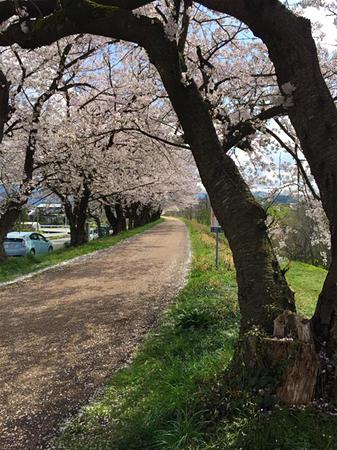 八尾町　家　宅地　子育て