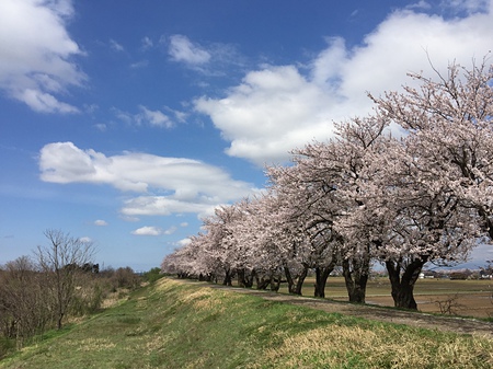 富山市八尾町　土地　家