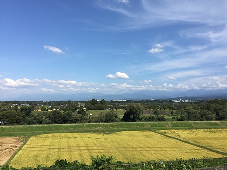 富山　八尾町　工務店