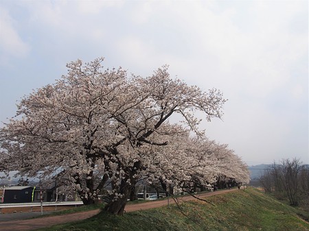 富山市八尾町土地　田舎暮らし　家　